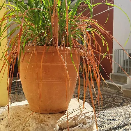 Yiannis Sokaki Detached House