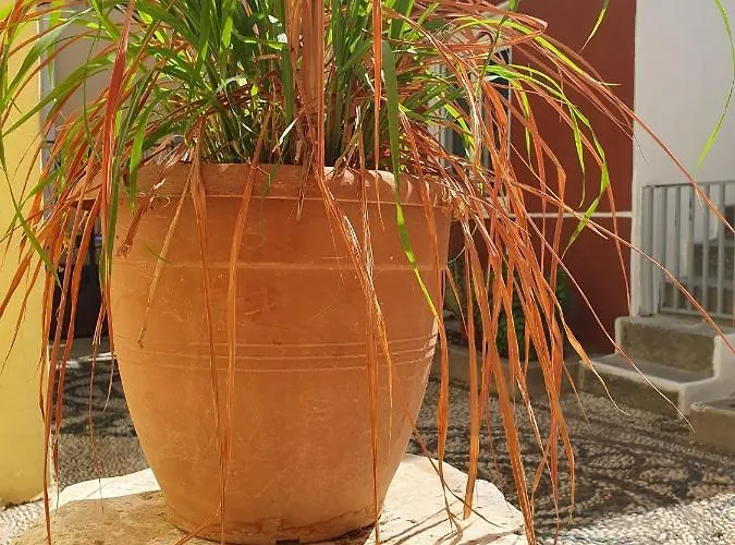 Yiannis Sokaki Detached House