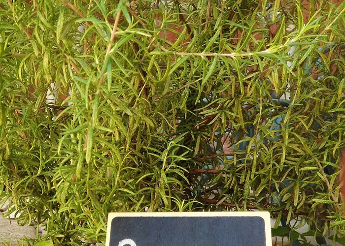 Yiannis Sokaki Detached House Сasa de vacaciones Rhodes City