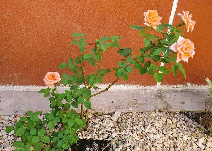 Yiannis Sokaki Detached House بيت للعطل Rhodes City